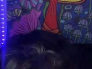 Big Body Jaz