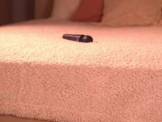 Emmiellee live cam preview