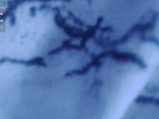 thomasinebuxbaum