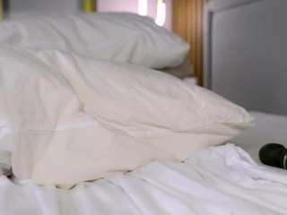 sadehaff live profile