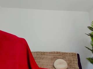 aryabellex