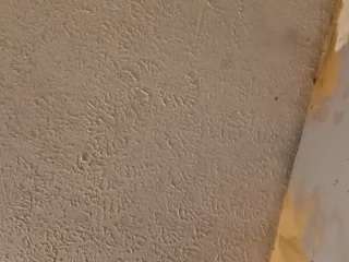 betawolf32