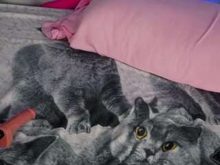 LunaLeez