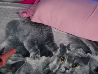 LunaLeez