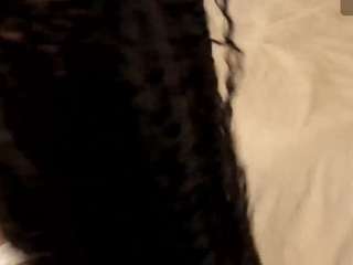 dionneventuri live webcam show