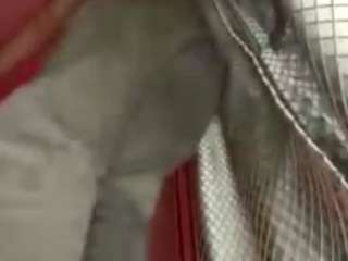Amy live cam preview