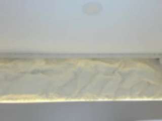 SofiaThonsonn live cam preview