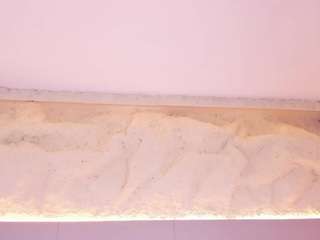 SofiaThonsonn live cam preview