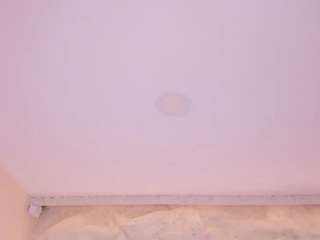 SofiaThonsonn live cam preview