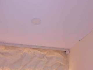 SofiaThonsonn