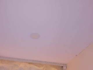 SofiaThonsonn live cam preview