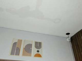 SofiaThonsonn live cam preview