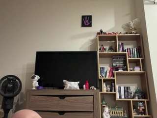 Michaelehermanson's cam show statistics and live stream