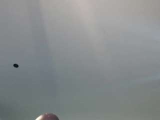 krispyshot