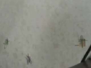 megganpeare