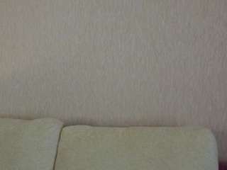 vitakotterna Live Webcam on CamSoda