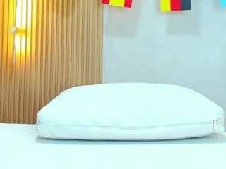 Ammy-shell's cam show statistics and live stream