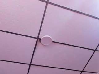 maywestt
