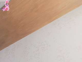 renataleclaiir