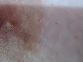 soyfer