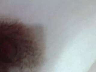 soyfer