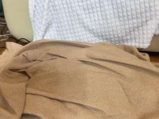 lilyspark