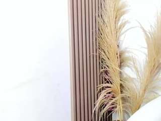 yasmin-dina's live room