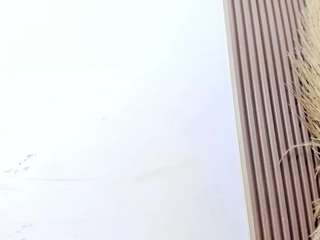 yasmin-dina live cam preview