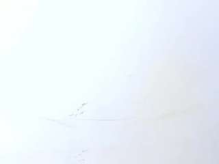 yasmin-dina live cam preview