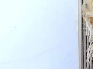 yasmin-dina