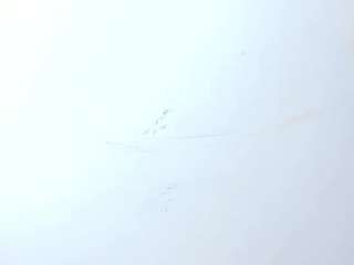 yasmin-dina live cam preview