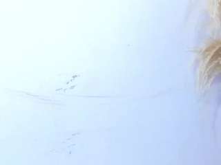 yasmin-dina live cam preview