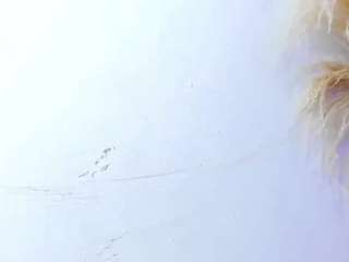 yasmin-dina