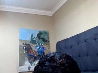 shelbydox