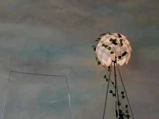 moon-shard