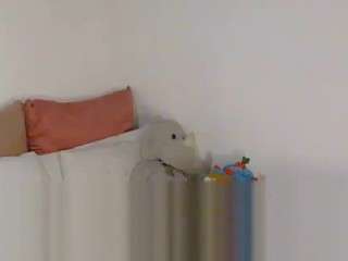 darrkdeeva669