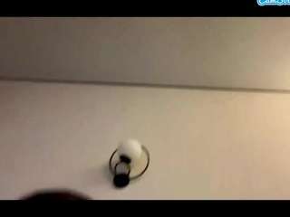 lasandravogenthaler live webcam show