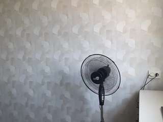 tonifavuzzi