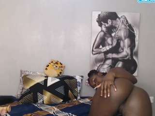 zennolov