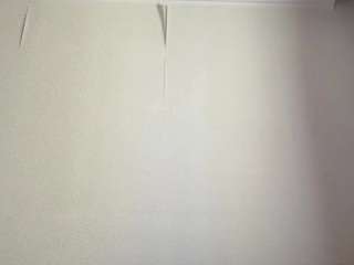 hannashine Sex Cam Show