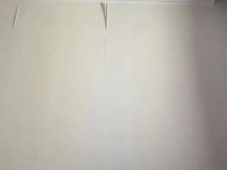 hannashine Sex Cam Show