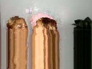 hungrylexx