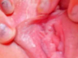 Sirena-Brighton live webcam show