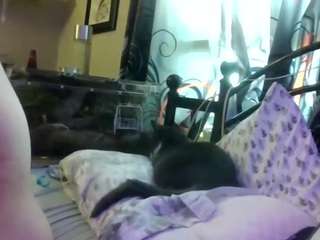 fluffykitty420