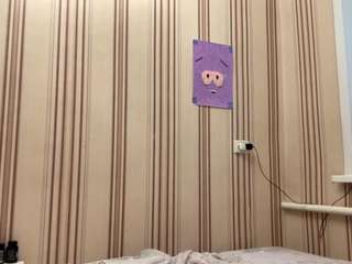 lailaimeson