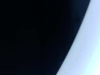 Skook-Gray