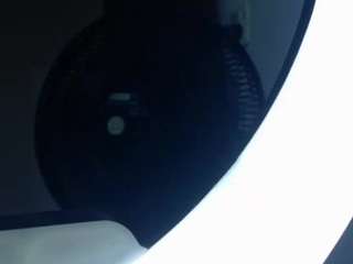 Skook-Gray