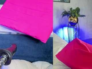 camiloseed