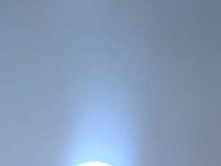 cherry-vixen