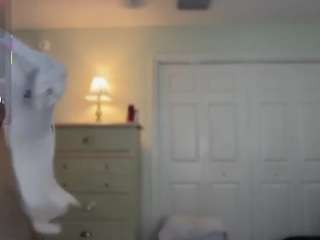 chrisbimbovixen